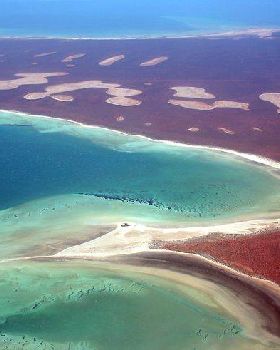 Shark Bay