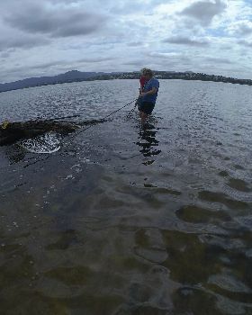 Cleaning Lake Illawarra