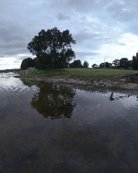 Cleaning Lake Illawarra