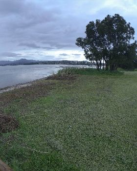 Cleaning Lake Illawarra