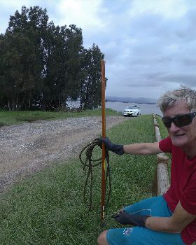 Cleaning Lake Illawarra