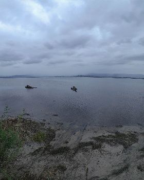 Cleaning Lake Illawarra