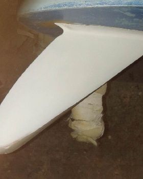 fangy-decrep-fillet fin