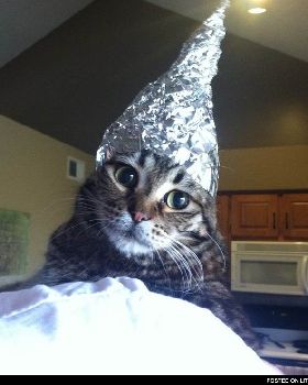 catfoil zpsedefb57b