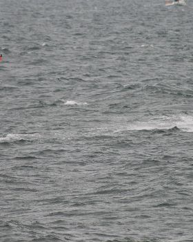 Classic northerly at Greens