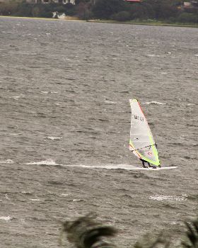 15-7-2017 Windsurfers