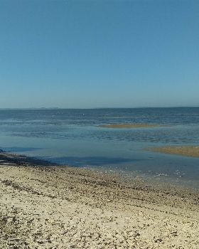 IMAG0249[1]