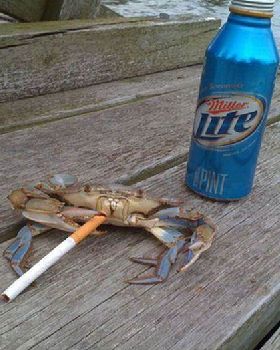Crab