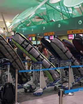windsurf luggage
