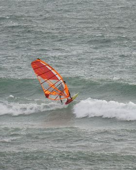  DSC1486