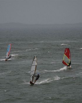  DSC1779