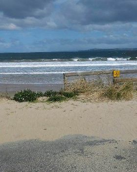 carlton today