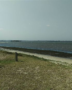 IMAG0296