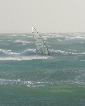 Crazy Day @ Crazy Waves