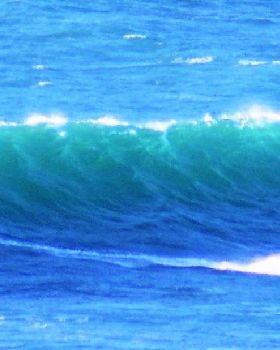 DSC09597 (2)