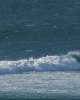 DSC09550