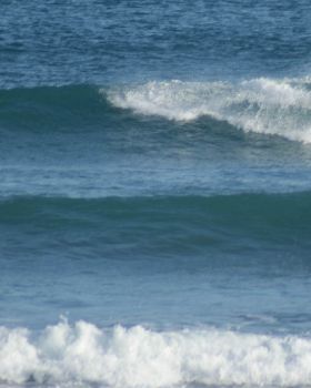DSC09089