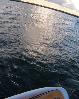 Kyeemagh windsurfing and foiling