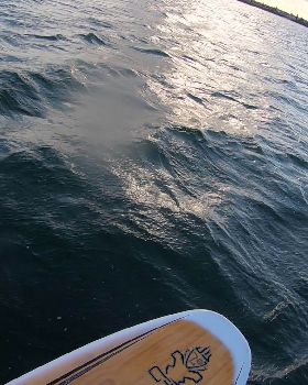 Kyeemagh windsurfing and foiling