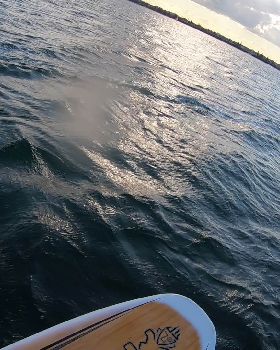 Kyeemagh windsurfing and foiling