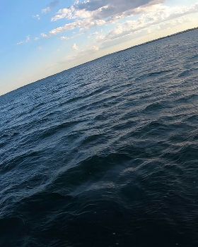 Kyeemagh windsurfing and foiling