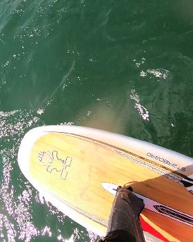Kyeemagh windsurfing and foiling