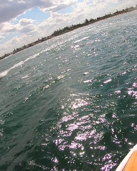Kyeemagh windsurfing and foiling