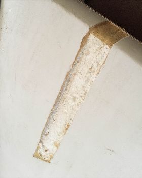 File 11-11-17, 7 45 07 pm