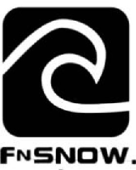 wsnslogo3-e1437206298127