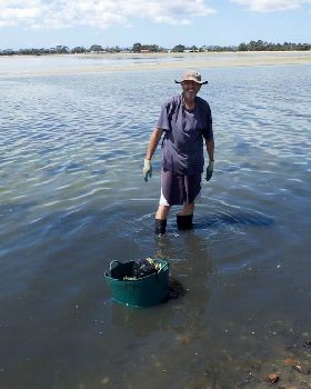 Oyster Clean Up