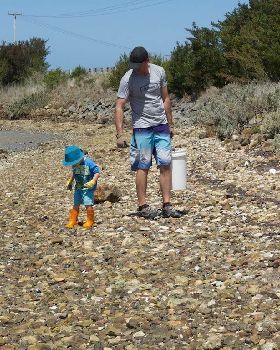 Oyster Clean Up