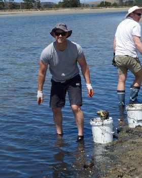 Oyster Clean Up