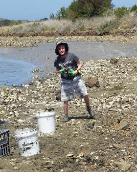 Oyster Clean Up