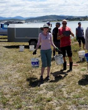 Oyster Clean Up