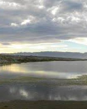 NZ Speed spot?