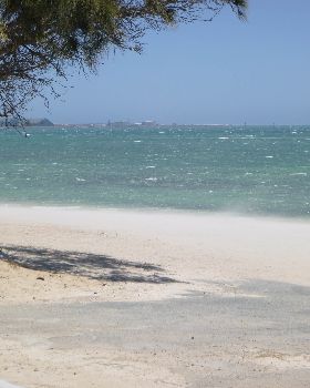 P1010436