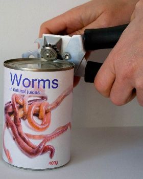Can'o worms