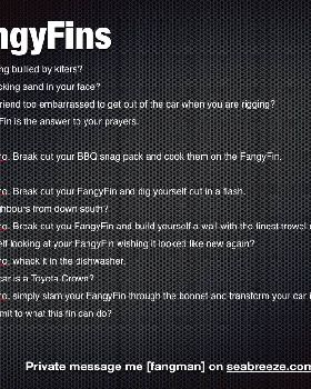 Current FangyFin info