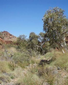 Near Hearsons Cove