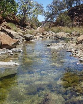 Near Hearsons Cove