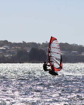 kid windsurfing