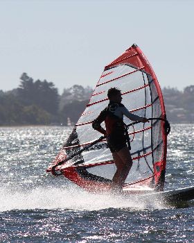 kid windsurfing