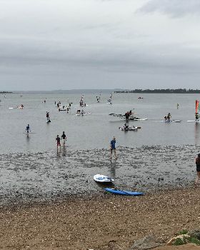rqys try wind surf