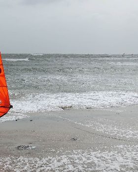 wild weather