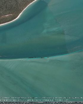 Image1d