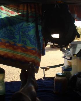 Camping at The Gloo
