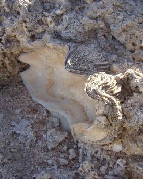 2000 years BC at The Gloo