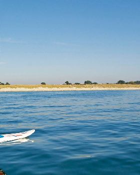 Surf Connect Windsurfing Classes