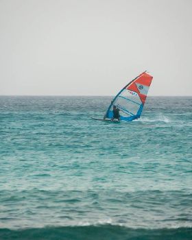 DSC09439