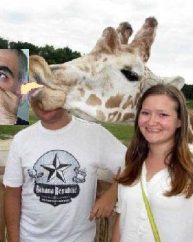 animal-photobombs-39